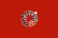 平和县回收红酒